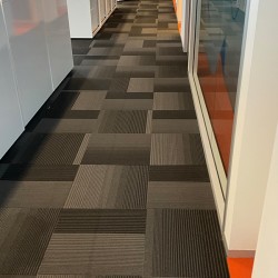 Carpet In Good Condition 