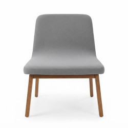 Addinterior Lounge Chair