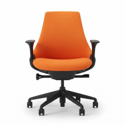 Herman Miller Sayl chair office chair ergonomic
