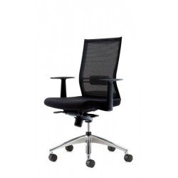 Skin executive chair